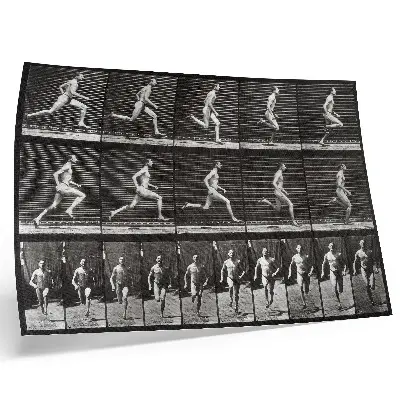 Moderne decoratieve poster plaat 60 van Animal Locomotion (1887) door Eadweard Muybridge
