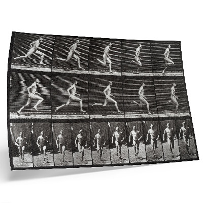 Moderne decoratieve poster Plaat 60 van Animal Locomotion (1887), gefotografeerd door Eadweard Muybridge.