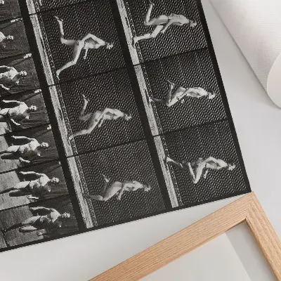 Moderne decoratieve poster plaat 60 van Animal Locomotion (1887) door Eadweard Muybridge