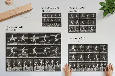 Moderne decoratieve poster plaat 60 van Animal Locomotion (1887) door Eadweard Muybridge