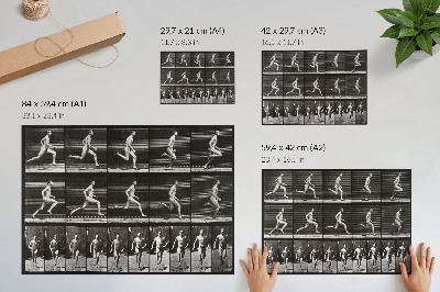 Moderne decoratieve poster Plaat 60 van Animal Locomotion (1887), gefotografeerd door Eadweard Muybridge.
