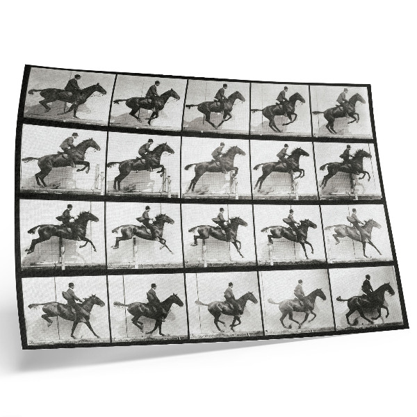 Poster Dierlijke beweging, plaat 640 (1887), paardrijden, gefotografeerd door Eadweard Muybridge.