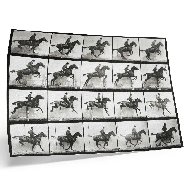 Poster van Dierlijke beweging, plaat 640 (1887) paardrijden gefotografeerd door Eadweard Muybridge
