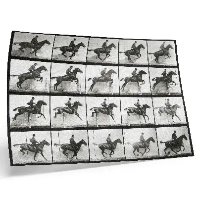 Poster van Dierlijke beweging, plaat 640 (1887) paardrijden gefotografeerd door Eadweard Muybridge