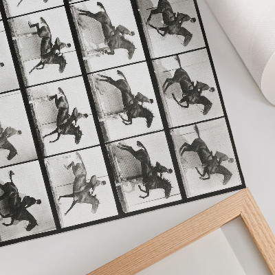 Poster Dierlijke beweging, plaat 640 (1887), paardrijden, gefotografeerd door Eadweard Muybridge.