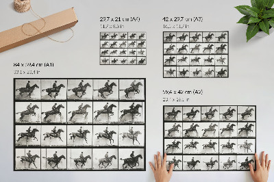 Poster Dierlijke beweging, plaat 640 (1887), paardrijden, gefotografeerd door Eadweard Muybridge.