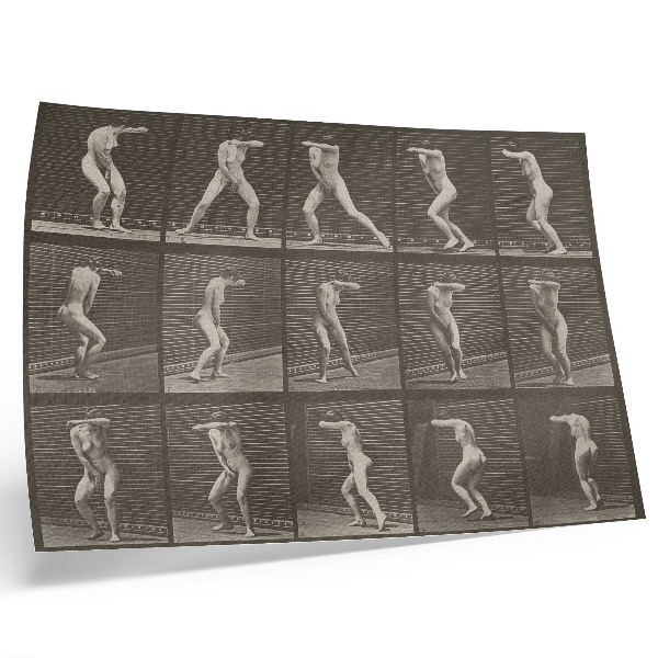 Stijlvolle wandposter Plaatnummer 73. Verrast omdraaien en vluchten (1887) van Eadweard Muybridge