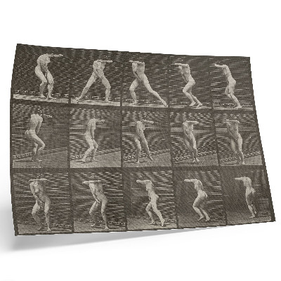 Stijlvolle wandposter Plaatnummer 73. Verrast omdraaien en vluchten (1887) van Eadweard Muybridge
