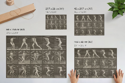 Stijlvolle wandposter Plaatnummer 73. Verrast omdraaien en vluchten (1887) van Eadweard Muybridge