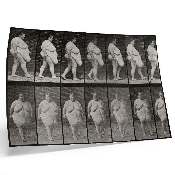 Stijlvolle wandposter Zwaarlijvige vrouw die loopt. Fototype naar Eadweard Muybridge, 1887.