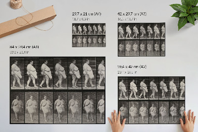 Stijlvolle wandposter Zwaarlijvige vrouw die loopt. Fototype naar Eadweard Muybridge, 1887.