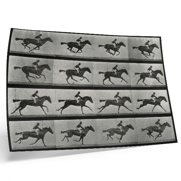 Moderne decoratieve poster Galopperend paard en ruiter. Fototype naar Eadweard Muybridge, 1887.