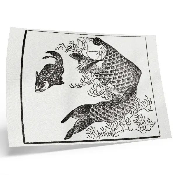 Hokusai karper poster Japanse dierenillustratie