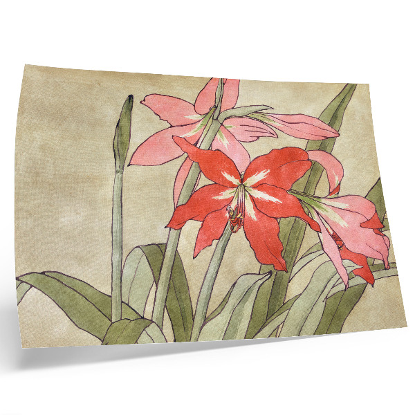 Poster Amaryllis (1915) van Hannah Borger Overbeck