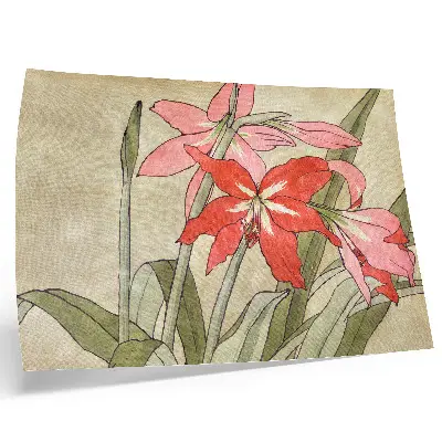 Amaryllis (1915) van Hannah Borger Overbeck poster