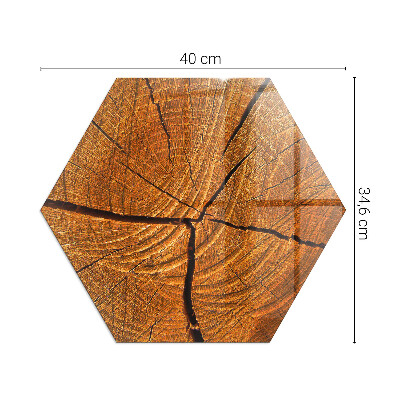 Kachel vloerplaat hexagonal Hout in dwarsdoorsnede met natuurlijke nerf