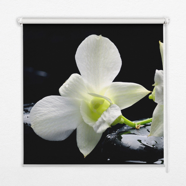 Binnengordijn met orchideeën en elegantie