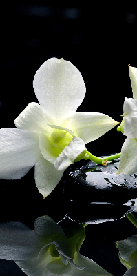 Binnengordijn met orchideeën en elegantie