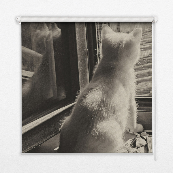 Binnenrolgordijn voor raam met kattenprint