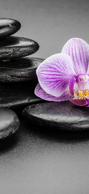 Binnengordijn met orchidee op stenen
