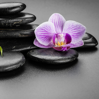 Binnengordijn met orchidee op stenen