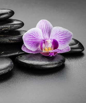 Binnengordijn met orchidee op stenen