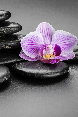 Binnengordijn met orchidee op stenen
