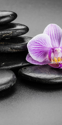 Binnengordijn met orchidee op stenen