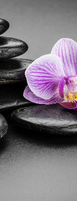 Binnengordijn met orchidee op stenen