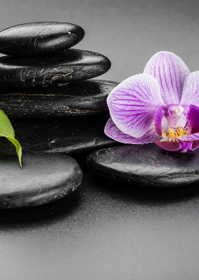 Binnengordijn met orchidee op stenen
