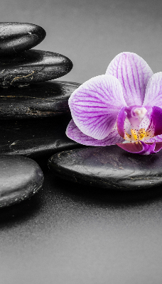 Binnengordijn met orchidee op stenen