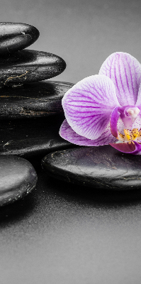 Binnengordijn met orchidee op stenen
