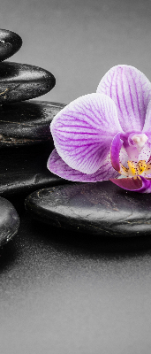 Binnengordijn met orchidee op stenen