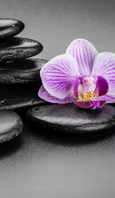 Binnengordijn met orchidee op stenen