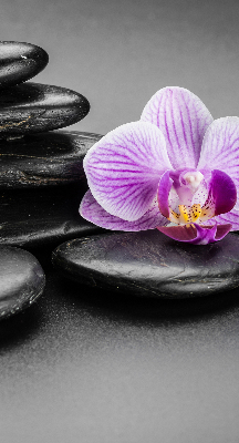 Binnengordijn met orchidee op stenen
