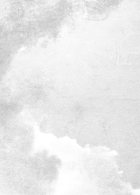 Binnengordijn in grijs
