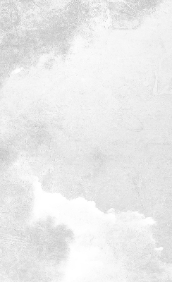 Binnengordijn in grijs