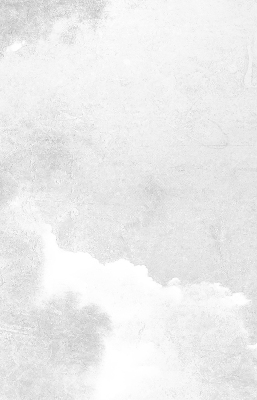 Binnengordijn in grijs