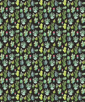 Rolgordijn voor balkondeur met cactussen
