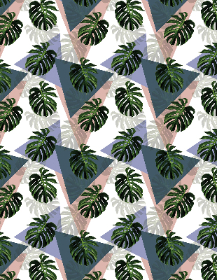 Binnenrolgordijn voor raam van de bladeren van de plant