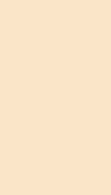 Binnengordijn beige
