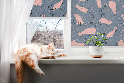 Binnenrolgordijn voor raam in roze met kattenmotief