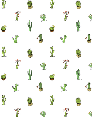 Stoffen rolgordijn met cactussen