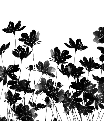 Rolgordijn voor raam in zwarte bloemenprint