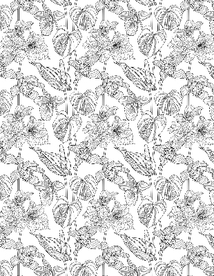 Binnenrolgordijn voor raam met geschetste bloemen