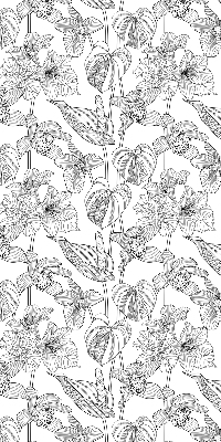 Binnenrolgordijn voor raam met geschetste bloemen