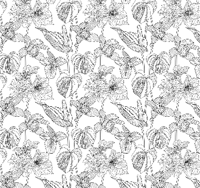 Binnenrolgordijn voor raam met geschetste bloemen