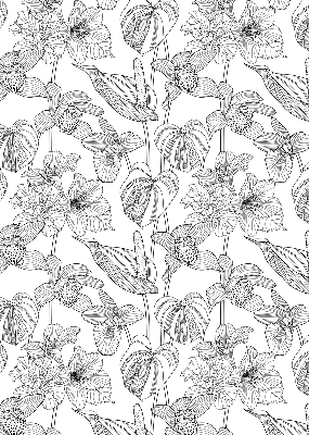 Binnenrolgordijn voor raam met geschetste bloemen