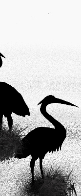 Binnenrolgordijn voor raam reigers