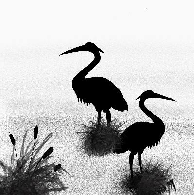 Binnenrolgordijn voor raam reigers